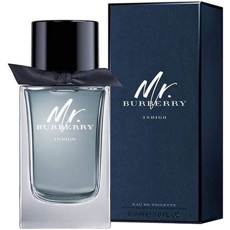 mr. burberry edp 100ml|mr burberry indigo fragrantica.